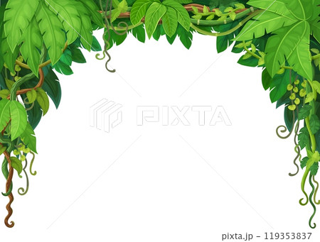 Tropical jungle forest liana vines frame of ivy branches and monstera leaves, vector background. Tropical rainforest or jungle liana frame of bindweed tree with climbing tendrils for background border 119353837
