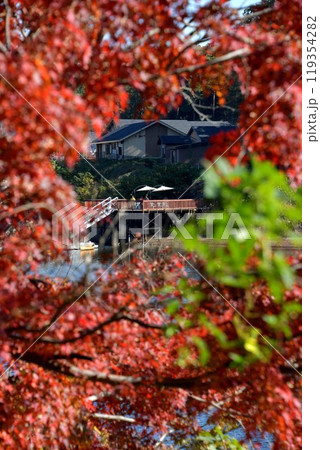 宮沢湖の紅葉 宮沢湖の紅葉 119354282