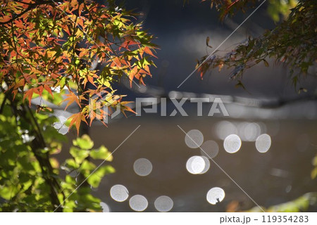 宮沢湖の紅葉 宮沢湖の紅葉 119354283