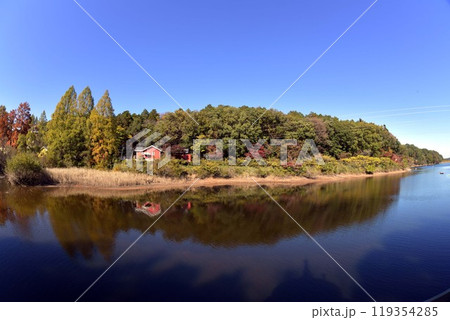 宮沢湖の紅葉 119354285