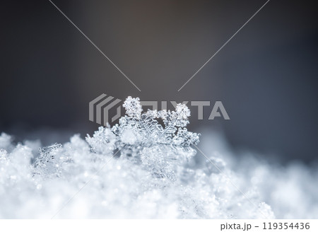 snowflakes, winter card, crystals of snow snowflakes, winter card, crystals of snow 119354436