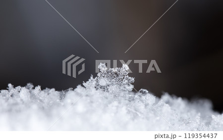 snowflakes, winter card, crystals of snow snowflakes, winter card, crystals of snow 119354437