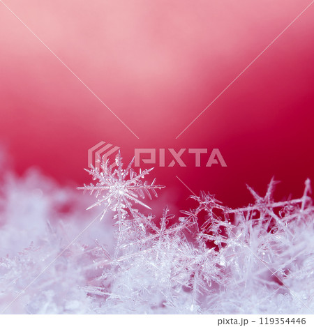 snowflakes, winter card, crystals of snow 119354446