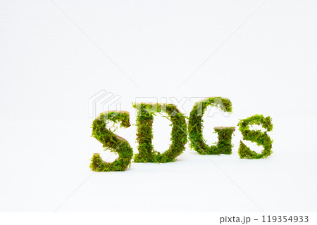 プリザーブド加工の苔で作ったSDGsの文字 119354933