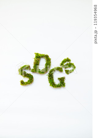 プリザーブド加工の苔で作ったSDGsの文字 119354968