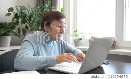Elderly Woman in Glasses Working on Computer at Home 119354970