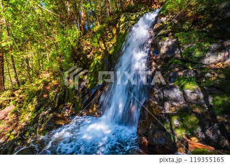 【長野県】阿寺渓谷　六段の滝 119355165