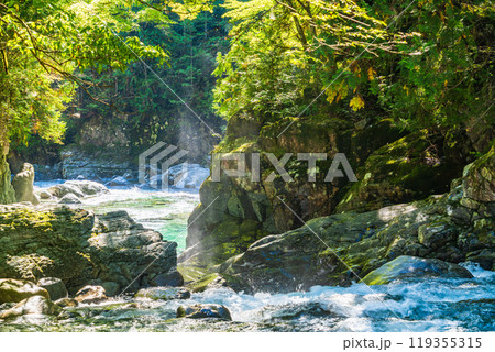 【長野県】阿寺渓谷　六段の滝付近の流れ 119355315