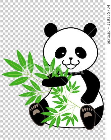 Panda sitting and eating bamboo Panda sitting and eating bamboo 119355734