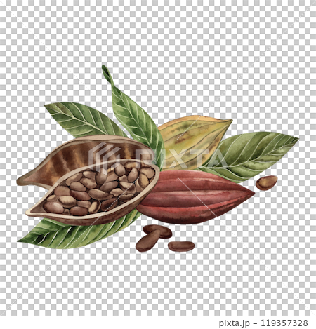 Cocoa beans, whole and cut with grains inside, lie on green leaves. The illustration is hand-painted in watercolor in a botanical style in brown and yellow shades. For packaging design, cosmetics Cocoa beans, whole and cut with grains inside, lie on green leaves. The illustration is hand-painted in watercolor in a botanical style in brown and yellow shades. For packaging design, cosmetics 119357328