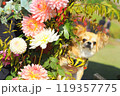 ペキチワ 119357775