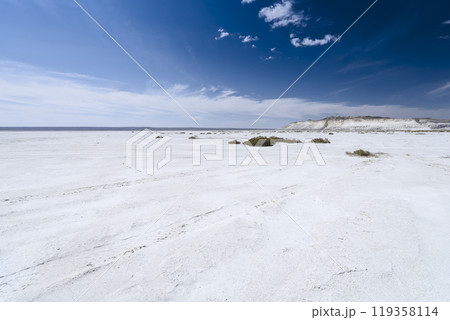 カザフスタン・ウスチュルト台地 トゥズバイル塩湖 / Tuzbair, Kazakhstan カザフスタン・ウスチュルト台地 トゥズバイル塩湖 / Tuzbair, Kazakhstan 119358114