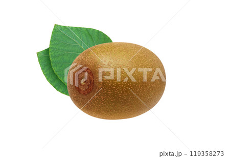 ゴールドキウイ イラスト リアル 119358273