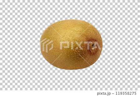 ゴールドキウイ イラスト リアル 119358275