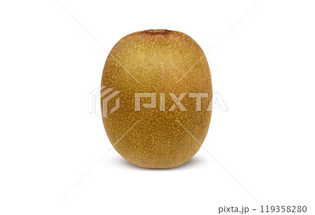 ゴールドキウイ イラスト リアル ゴールドキウイ イラスト リアル 119358280