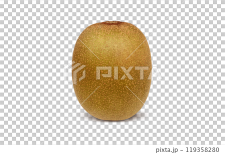 ゴールドキウイ イラスト リアル ゴールドキウイ イラスト リアル 119358280