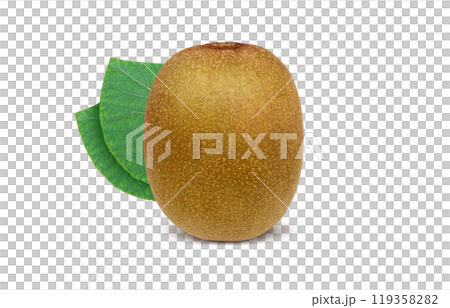 金色奇異果插畫寫實 119358282