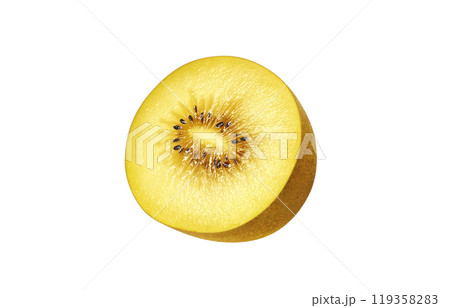 ゴールドキウイ イラスト リアル 119358283