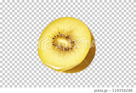 Gold kiwi illustration realistic Gold kiwi illustration realistic 119358286