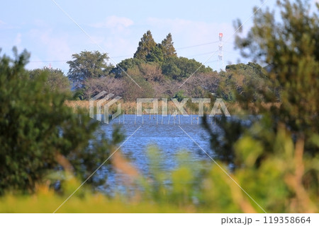 手賀沼の風景（千葉県） 119358664