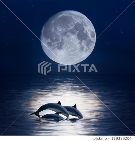 満月の夜、海面に月明かりが銀色に反射する中、数頭のイルカが静かに泳いでいる夜 119359204