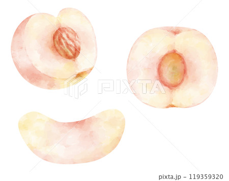 水彩で描いたカットした桃のイラストセット 119359320