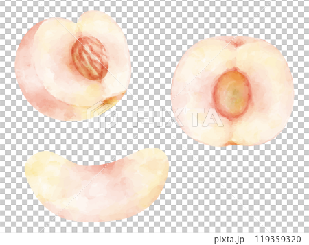 水彩で描いたカットした桃のイラストセット 119359320