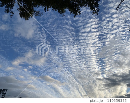 空と鱗雲 空と鱗雲 119359355