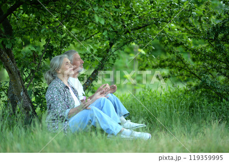 Portrait of senior couple sitting on the grass in the park 119359995