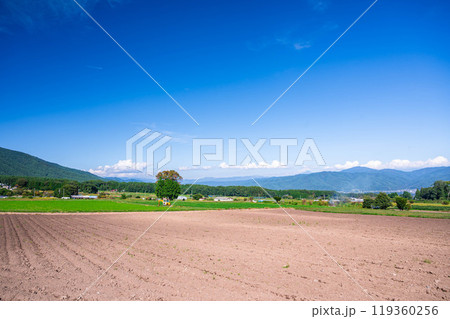 上伊那郡箕輪町あたりの農地と自然風景 119360256