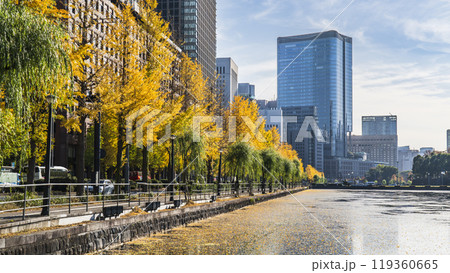 秋の東京都市風景　「日比谷通り」のイチョウ並木と「丸の内」高層ビル群【東京都・千代田区】 119360665