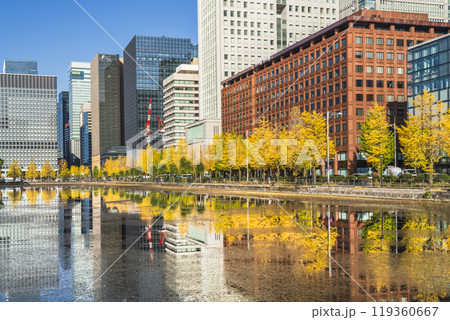 秋の東京都市風景　水面に映る丸の内のオフィスビル群と日比谷通りのイチョウ並木【東京都・千代田区】 119360667
