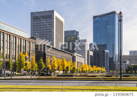 秋の東京都市風景　「日比谷通り」のイチョウ並木と「丸の内」の高層ビル群【東京都・千代田区】 119360675