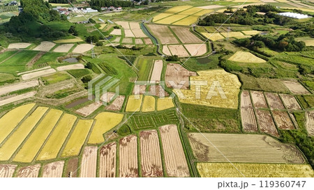 秋の棚田の風景　空撮 119360747