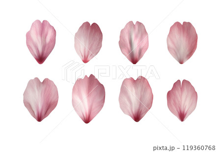 AI生成画像:桜の花びら(png) AI生成画像:桜の花びら(png) 119360768