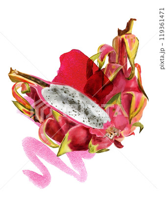 Pitaya slices, bright pink watercolor stain. Hand drawn watercolor illustration of ripe exotic dragon fruit for background, card, design Pitaya slices, bright pink watercolor stain. Hand drawn watercolor illustration of ripe exotic dragon fruit for background, card, design 119361471