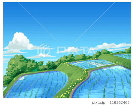 春の水田 119362463