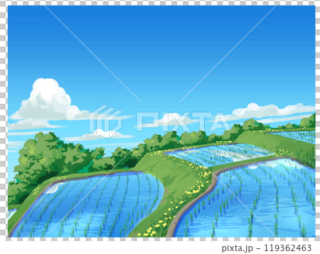 春の水田 119362463