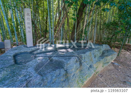 奈良県明日香村の酒船石 119363107