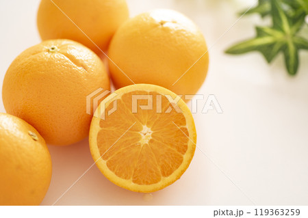 ネーブルオレンジ ネーブルオレンジ 119363259