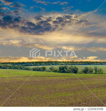 Harvested Fields and meadows landscape . country scenery at autumn sunset. 119363506