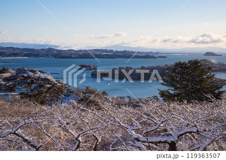 朝の雪景色の松島 119363507