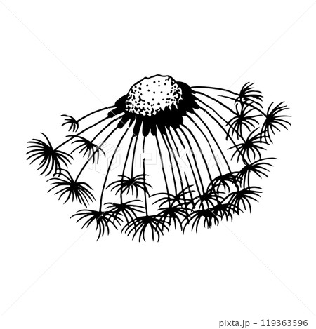 Dandelion blowing hand drawn vector illustration 119363596