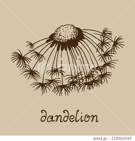 Dandelion blowing hand drawn vector illustration 119363597