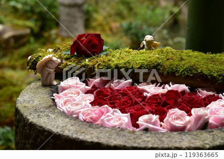 ピンクと赤の薔薇の花の花手水 ピンクと赤の薔薇の花の花手水 119363665