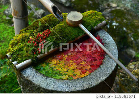 紅葉のグラディエーション 紅葉のグラディエーション 119363671