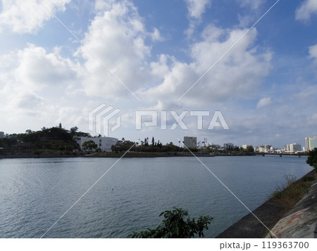漫湖(沖縄県那覇市) 119363700