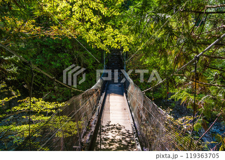 【長野県】阿寺渓谷　中八丁吊り橋 119363705