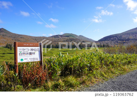 大谷地（ニセコ・神仙沼自然休養林） 119363762