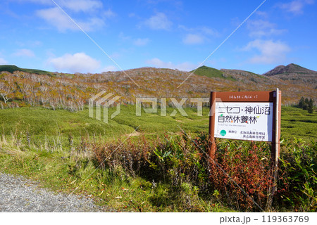 大谷地（ニセコ・神仙沼自然休養林） 119363769